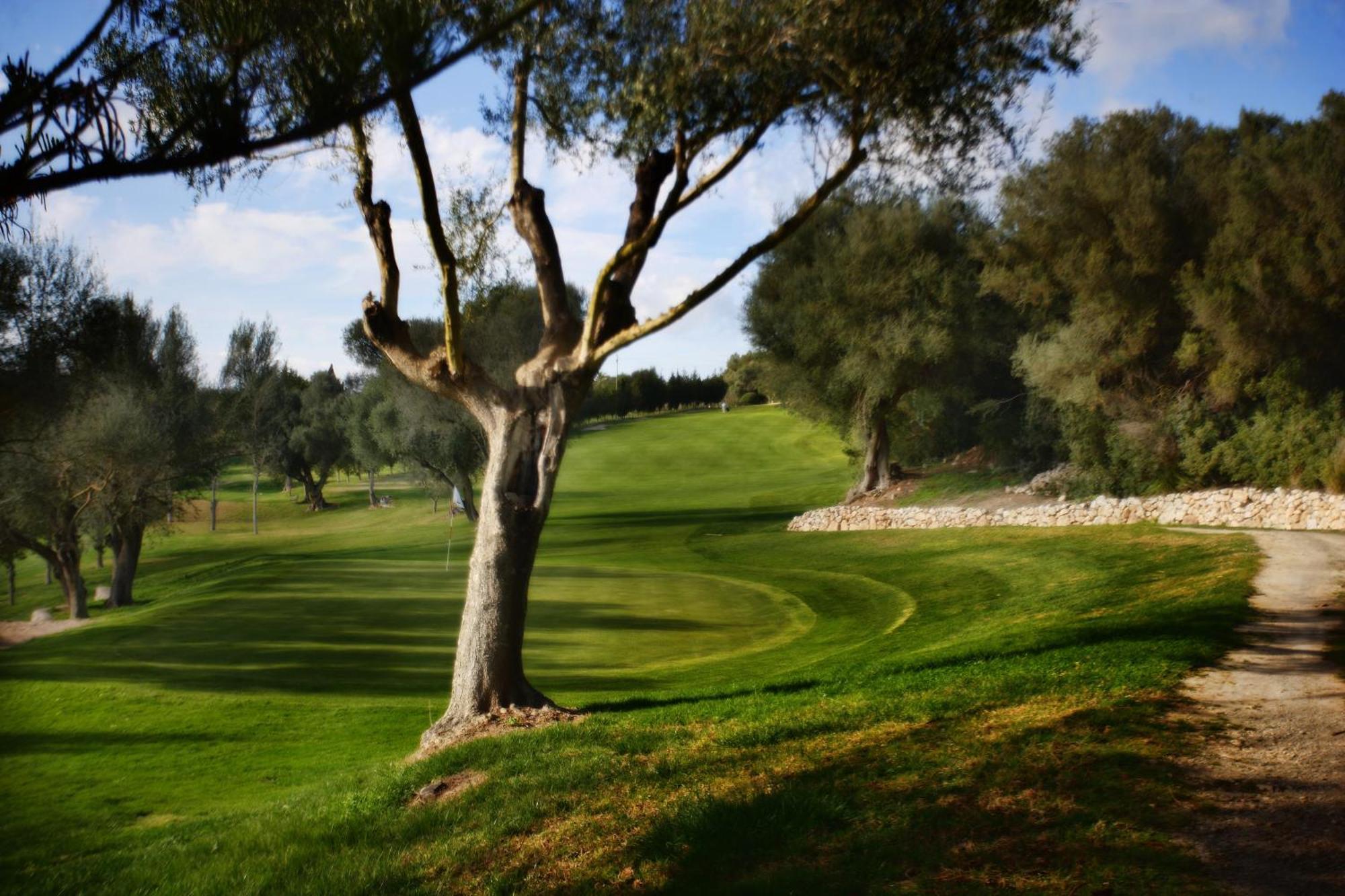 Reserva Rotana Golf